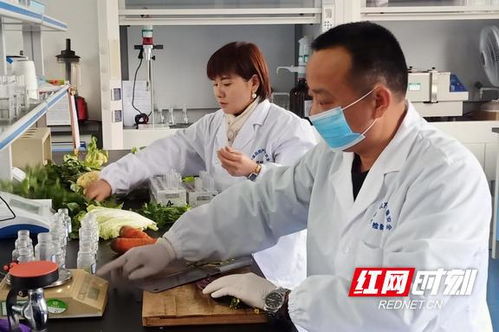 泸溪县强化元旦节前农产品质量安全监测 重点保障家禽类产品安全