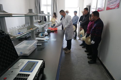 政企村携手共绘振兴蓝图 太平镇友爱村初级农产品“进城记”