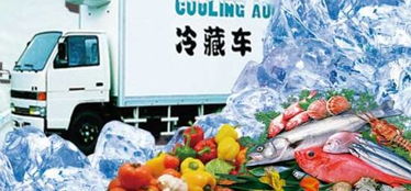 打通“最初一公里”——我国冷链物流如何为初级农产品破冰前行
