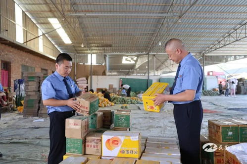 民勤检察蓝 以法治力量守护“甜蜜产业”，全力呵护民勤蜜瓜地理标志与初级农产品品质