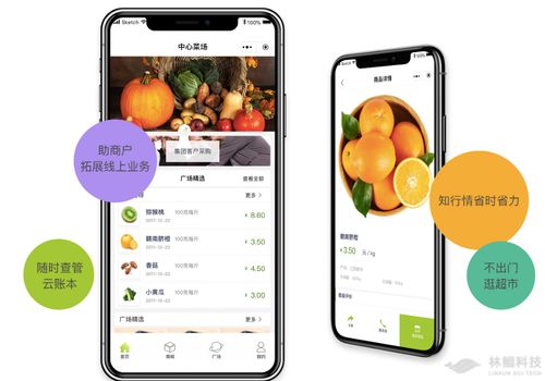 全面解读浙江五化新标系列②（上） 农贸市场迎来智慧化跃迁——初级农产品篇